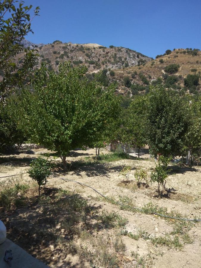 Aggelina Konuk evi Sárkhos Dış mekan fotoğraf
